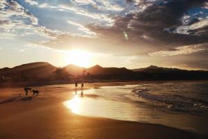 Beachfront Studio - Steps from Best Surf