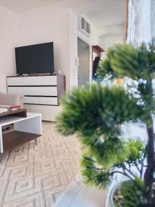 River apartment