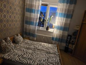 Centrum 3 łóżka 2pokoje 55m ulica 14 lutego 1