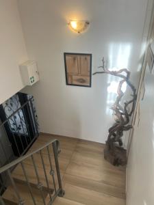 Motovun View Rooms B&B