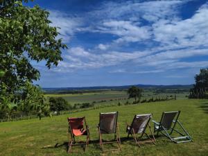 GRAPPA Goldhill Wineyard & Lodges