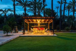 Historical Palms By Fidalsa