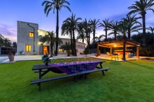 Historical Palms By Fidalsa