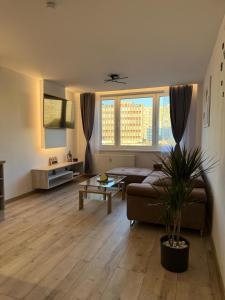 City View Apartment