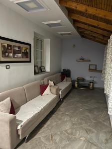 Ajsi House