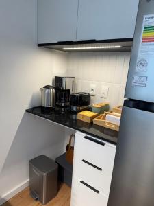 Premium designer studio apartment with garage MasMio