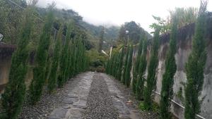 Bruneli House