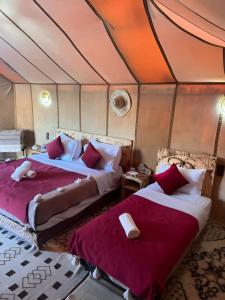 Desert View Camp
