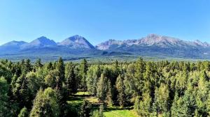 Forest & Mountain View Apartment Gerlachov, Vysoke Tatry