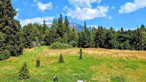 Forest & Mountain View Apartment Gerlachov, Vysoke Tatry