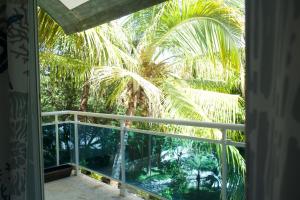Incredible Colonial & Tropical House with Pool