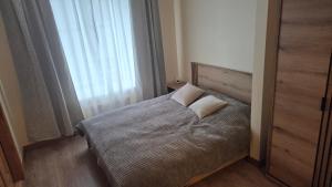 Viru apartment