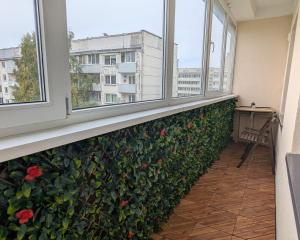 Liepaja lakeside apartment