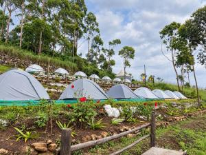 Western Ghats, Tent Stay, Munnar, Gap Road