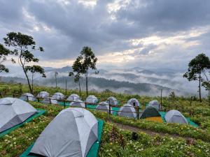 Western Ghats, Tent Stay, Munnar, Gap Road