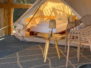 Cort - Tent - Zelt - Complex Butoaiele Transilvaniei - Cazare & SPA - Natura - Relaxare