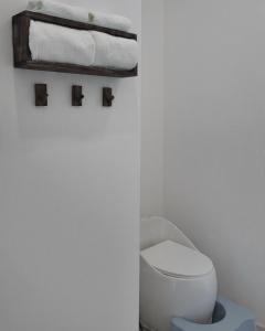 Nhà Xi Măng mini villa bể bơi
