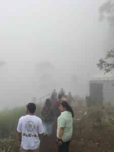 Western Ghats, Tent Stay, Munnar, Gap Road