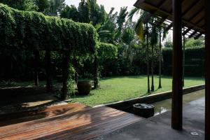 Cocoon bkk
