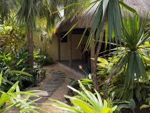 Villa Cocon Tropical
