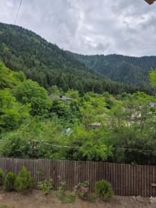 Family Villa Borjomi