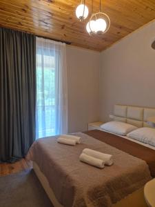 Family Villa Borjomi