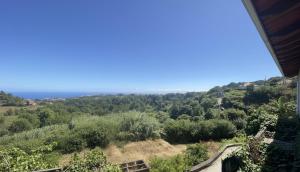 Santana Cottage Unique, Peaceful T2 Madeira