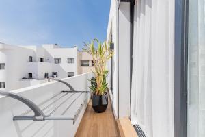 Studio rooftop balcon et parking Les Princesses