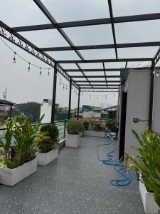 healing giường tầng