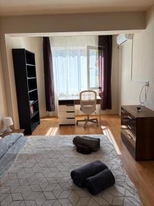 Nice, Spacious and Cozy Apartment