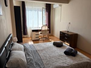 Nice, Spacious and Cozy Apartment