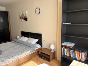 Nice, Spacious and Cozy Apartment