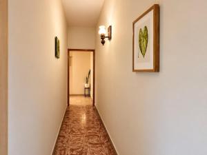 Apartamento Roble Pacheco