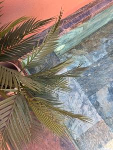 Riad Jardin de Malia