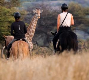 Gabus Safari Lodge
