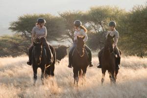 Gabus Safari Lodge