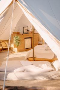 Mezi Vinicemi Glamp