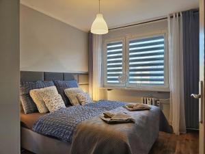 Apartament Dzień dobry