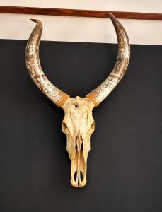 House of Vikings A Nordic-Inspired 2BR in Nyali
