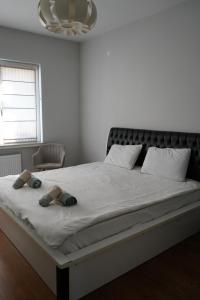 Central Elegance NDK 3BDR