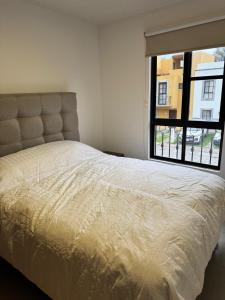 Modern Apartment in Alebrijes Zirandaro SMA