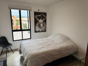 Modern Apartment in Alebrijes Zirandaro SMA