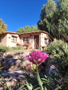 Alta Montaña Cabañas
