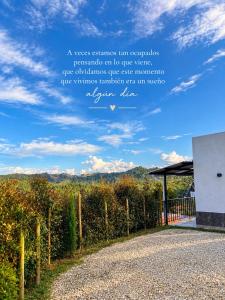 Pinar De Luna