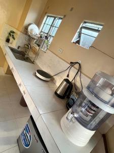 Entire Moons Home near BGC Full Kitchen & Garden view