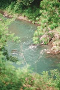 River Green