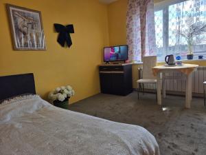 Apartament-Wiejska 5A