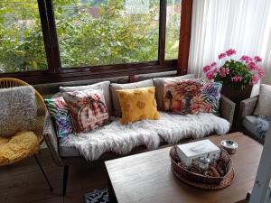 Pensiunea Transilvania Lodge