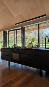 Thatched Roof Modern Architecture Villa in Lithuania