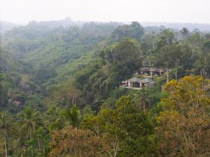 Tiss Valley